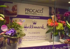 Procacci Brothers presents Hallmark Flowers.