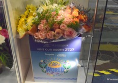 The Color of Kindness bouquets of The Elite Flower