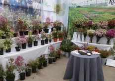 Display of Nir Nursery at Suncres Nurseries at CAST. 