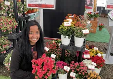 Introducing as well for the new season is the new Kalanchoe double flowered Serenity Red, as shown by Sirekit, she is excited to introduce this one, as the Serenity series is a very unique Kalanchoe series, as this series has an extreme uniform growth, due to the mutation breeding, requires less growth regulators and is flowering at the same time. Perfect for the grower and the their quarts pot production.