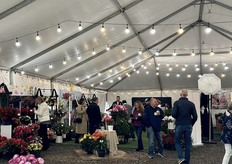 At Green Fuse Botanicals location. 