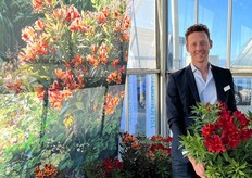 HilverdaFlorist's Stef with Highlight Summer Heat. 