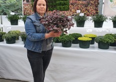 Rely Jaldety of Jaldety presenting several new varieties at Suncrest Nurseries. 