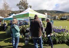 Janet Sluis of Sunset Plants Group talking with visitors