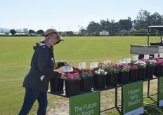 Also many products of Planthaven on display at Santa Barbara Polo Club in Carpinteria.