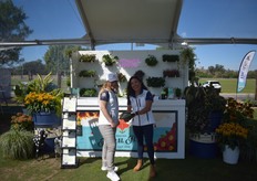 The team of Pacific Plug and Liner at Santa Barbara Polo Club in Carpinteria.