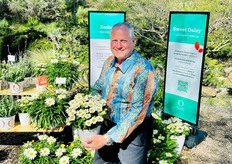 Jeff LaCourse presents new Leucanthemum Sweet Daisy Shelly at Dümmen Orange. 