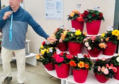 Presentation about Limitless of Syngenta