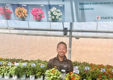 Shohei Murakami with Takii's new Belize Zinnias. 