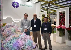 Eduardo Chiriboga, Juan Carlos Davao’s and Pablo Montahuano of Esmeralda Farms next to their tinted gypsophila. The gyps is their main product.
