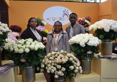 The team of mZurrie Flowers growing roses, spray roses and chrysanthemums in Nakuru, Kenya.