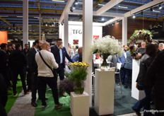 Drinks at Turkish Fower Group