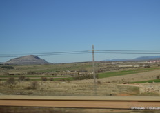 Aleia Roses is situated in a rural environment, over 1 kilometre above sea-level. The absence of big cities and industries makes for a bright, clean air.