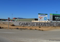 The area has been classified a business park. The government invites other companies to come and settle, a project to date not awfully successful. However, neighboring Aleia a biomass plant burning wood waste is in place, producing energy and CO2. This year, a pipe will be installed transporting CO2 from the plant to the greenhouse.