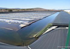 Of all the water used, about 2/3 is won the Douro river. The other 1/3 is rain (there is 500 to 600 mm of precipitation annually). The water level in the basins is monitored; when it falls below a certain minimum, extra water from the river is let in.