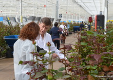 Luis explaining the ins and outs of production.