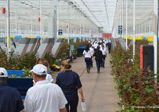 Aleia is proud to have a particularly varied workforce, representing an almost equal share of men and women, spread out over all ages and many nationalities.