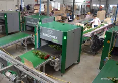 Sealing of bouquets is also fully automated.