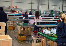 Digital sign giving instructions with regards to sorting and bunching.