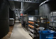 Storage tanks for irrigation.