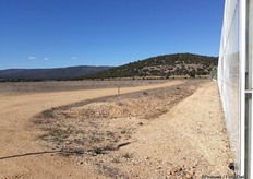 Last but not least, at the back of the facilities a plot of empty land lays waiting. Concrete plans did not yet materialize, but thought of expanding is existent. Sometime not too far away from now, a third block of another seven hectares might be added.