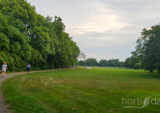 Sunrise in the park.