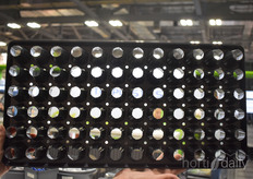 T.O. Plastics launched their 72 Star tray with an open bottom, especially designed for plants in need of air pruning.