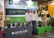 Bart Koekkoek Bas Van Berkel of Quattro Plant.