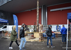 Also outdoors garden solutions are presented. 