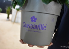 “Enlighten the quality of your plant with high definition printing”, said Davide Cavallini of Modiform when showing this container. 