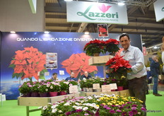 Andrea Lazzeri presenting Poinsettia Carmen Red, a variety that is a novelty from 2023 with very good results in the southern part of Europe.