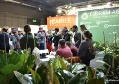 Busy at the booth of Barile and Floramiata.