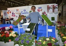 Mattia Silvestrin of Sentier. Their cyclamen is their best sellers. And hortensia’s and begonias are doing very well too!