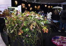 And a lot of arrangements were on display and attracted a lot of attention. 