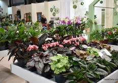 New Generation area. 