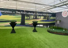 Benary's theme this year was "Imagine Golf without Plants". Next to showcasing their new varieties in different golf courses they also gave visitors the opportunity to play a little golf on a putting green on their premises. "Flowers and fun" (For more pictures, see their LinkedIn, Facebook and Instagram pages.)  