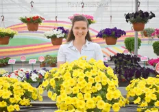 Eva Wijnker – Van der Cruijsen, Marketing Manager Europe at PanAmerican, with the new Petchoa Caliburst Yellow. The variety can withstand some cold in production and is relatively early, at a day length of 9.5 hours. The colors that the new Petchoa produces are not available in Petunias. "The best of Petunia and Calibrachoa in one."