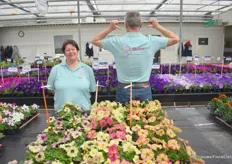 Carola Mantel – van Rijnsoever and René Knijn from Hem Genetics at the Shake. The new hybrid Petunia produces a sea of differently colored flowers. It is a compact variety, naturally from seed, and no retardants are needed because it has been bred to ensure the plant remains nicely compact.