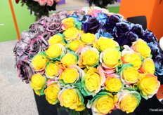 Uniquely colored roses are very popular in China, according to the Ceres Farms team