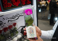 Lady Guadalupe on a preserved rose for special occasion that happens in December for Latin American communities in the US