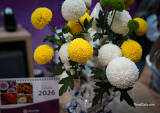 Laporta series of Floritec