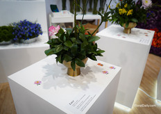 Visitors could add a flower to one of the three arrangements, which gave great results