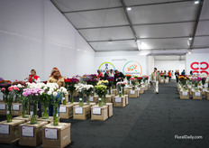 All the flowers from the competition were outside the building