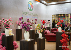 The booth full of Carnations at Propagar Plantas