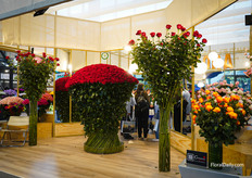 Huge roses in the booth of Continental Breeding