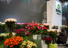 So many roses at Redil Roses