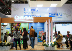 Busy times at Chrysal