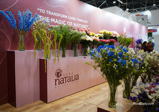 Doña Natalia by Agrogana