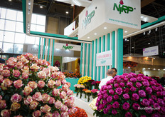 Continious meetings going on at NIRP