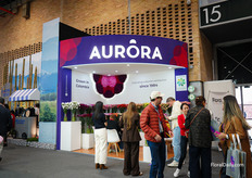 Meetings going on at Aurora